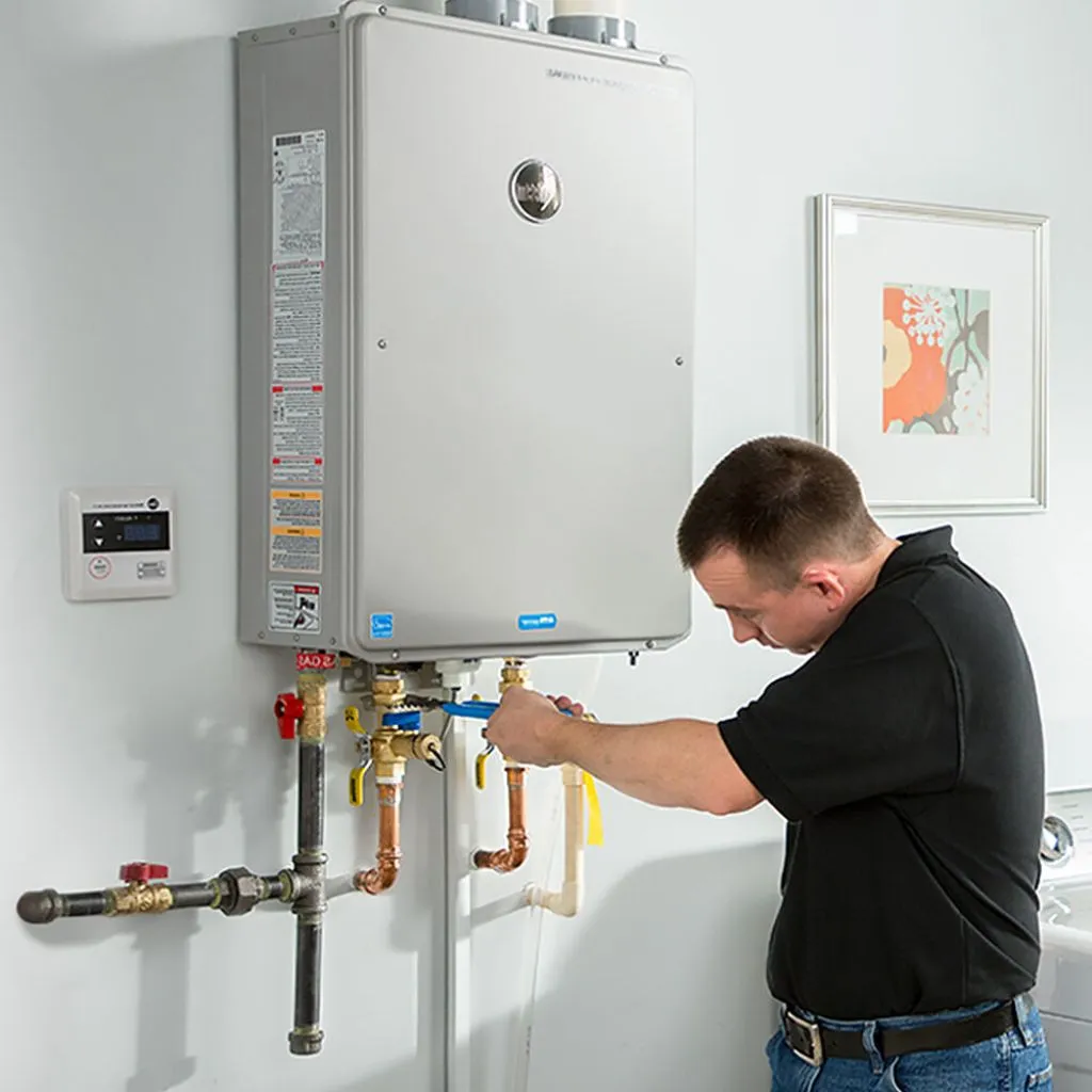 tankless water heater repair in Wannaska, MN